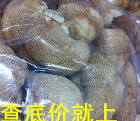 一德路海味干貨批發(fā) 優(yōu)質(zhì)中等規(guī)格干猴頭菇，足干色好，海味市場(chǎng)好貨供應(yīng)